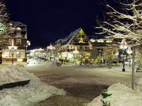 Stadtwohnung Schneeflocke Winterberg Exterior foto